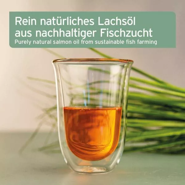 Lachsöl Omega 3